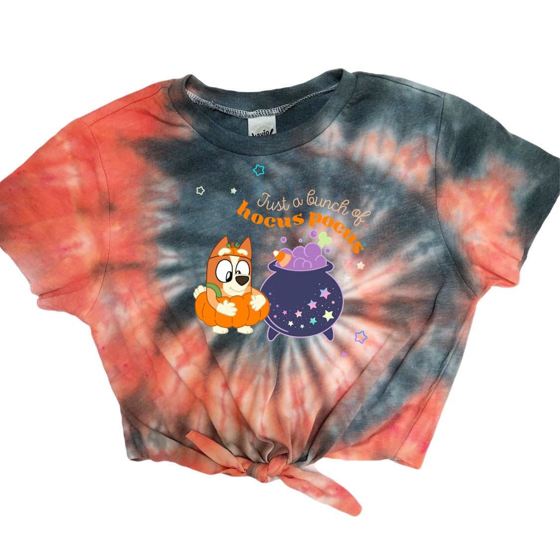 Bingo Heeler Halloween Tie Dye T-Shirt